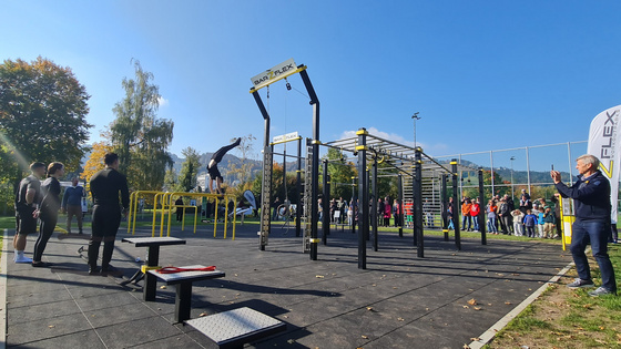 Calisthenics- und Motorikpark Höchst am Bodensee